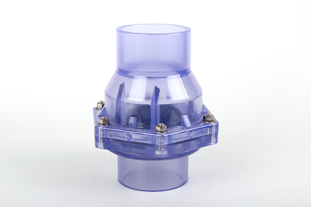 宁远透明翻板式止回阀